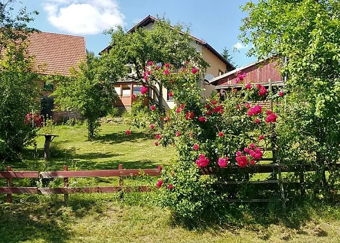 Vreni Герсфельд